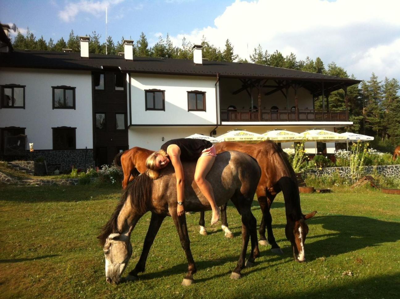 Rusaliite Adventure House Bachevo  Exterior photo