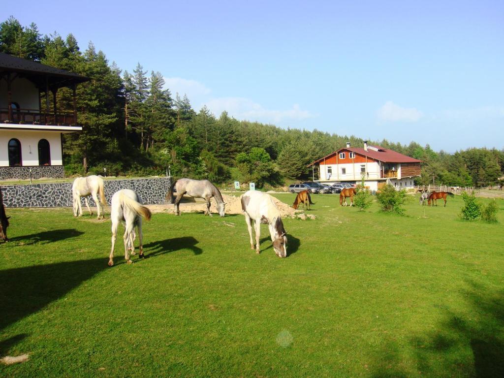 Rusaliite Adventure House Bachevo  Exterior photo