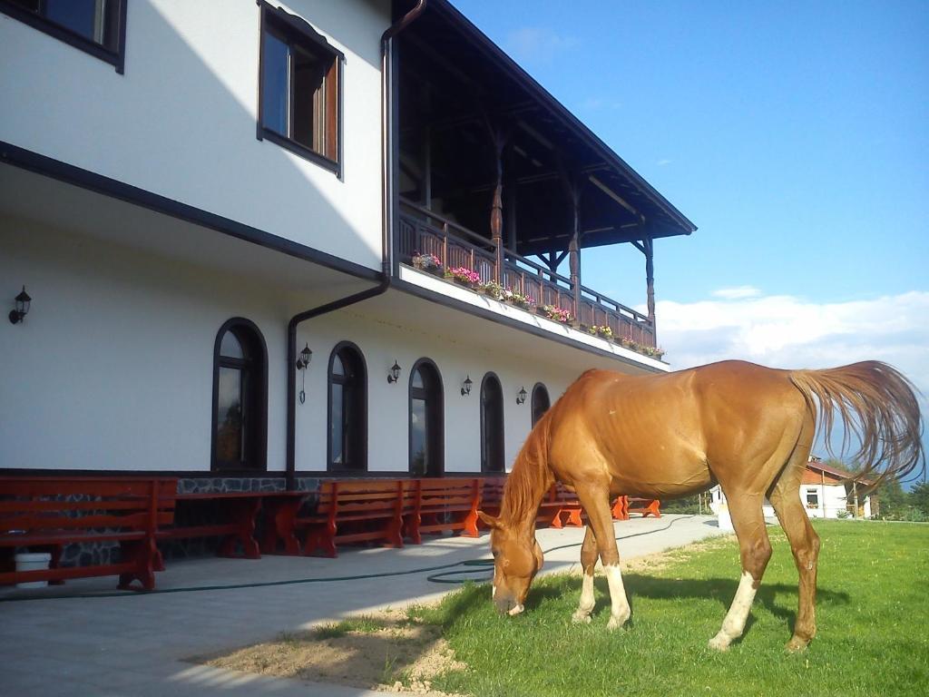 Rusaliite Adventure House Bachevo  Exterior photo